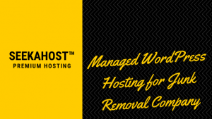 best-Managed-WordPress-Hosting-in-the-uk