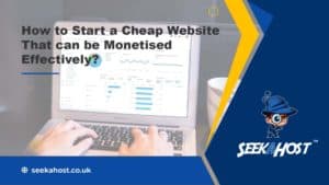 cheap-website-that-can-be-monetised