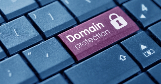 Domain-Theft-Protection