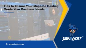 magento-hosting-business-tips